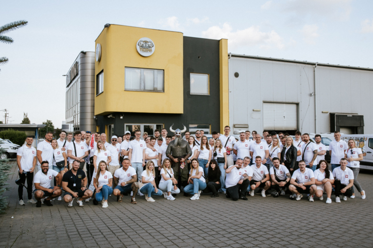 VIKING WCHODZI DO GRY!